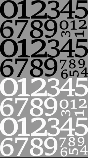 Plantilla DTF - Números Blancos y Negros - 58cm x 100cm